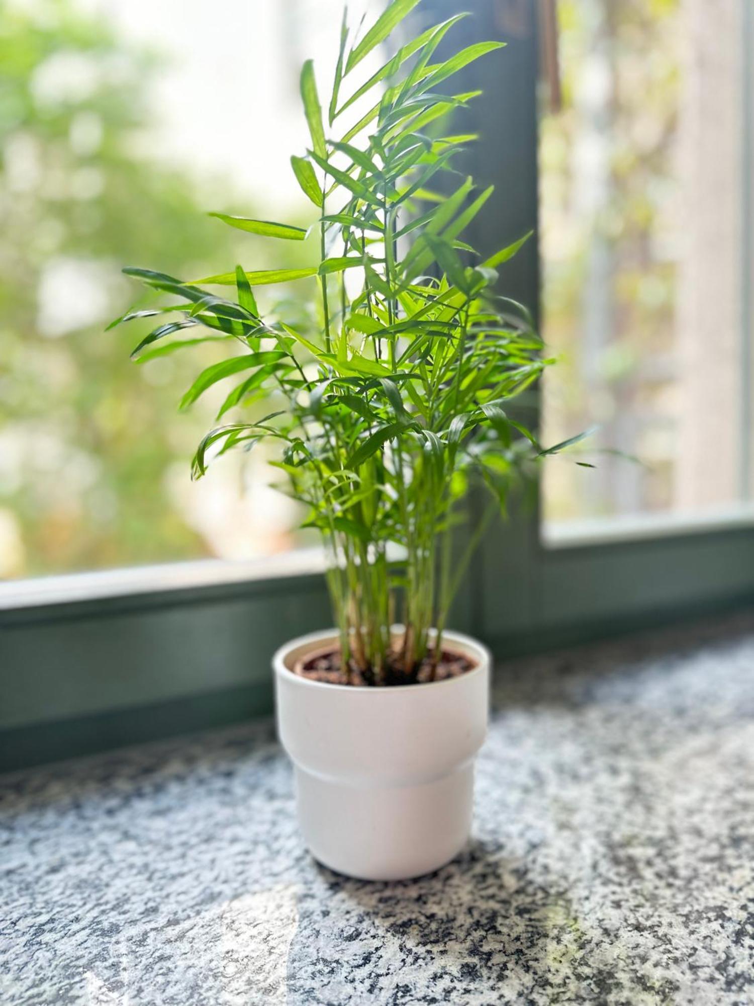 Apartment Arenablick 라이프치히 외부 사진